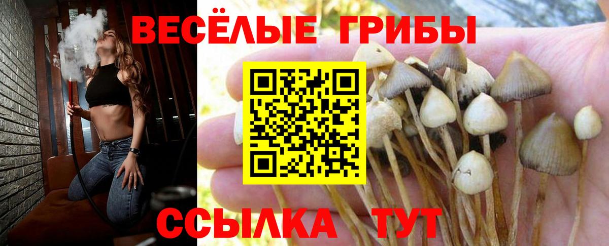 Псилоцибиновые грибы мицелий  Вход с VPN  Алапаевск 
