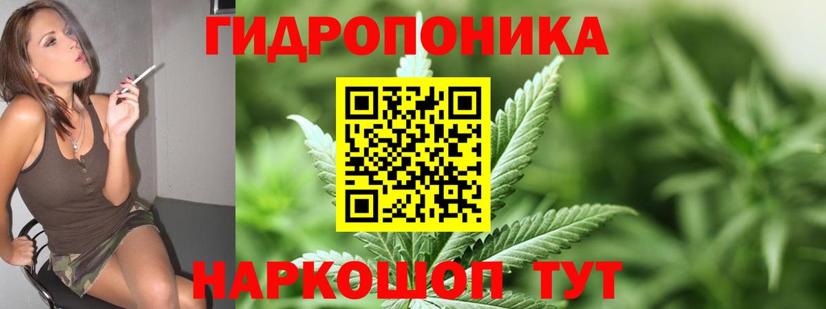 Шишки марихуана THC 21%  Каннабис марихуана  Алапаевск  Вход с VPN  Марихуана VHQ 